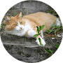 asset-19.png